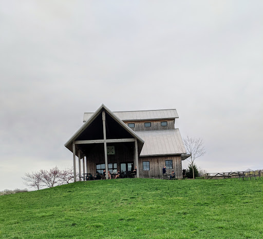 Vineyard «Vermilion Valley Vineyards», reviews and photos, 11005 Gore Orphanage Rd, Wakeman, OH 44889, USA