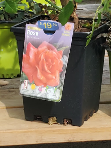 Home Improvement Store «The Home Depot», reviews and photos, 600 Meacham Rd, Elk Grove Village, IL 60007, USA