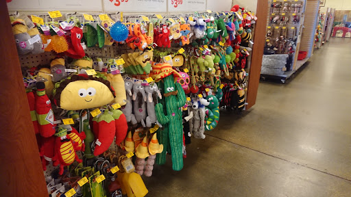 Pet Supply Store «PetSmart», reviews and photos, 3347 E Foothill Blvd, Pasadena, CA 91107, USA