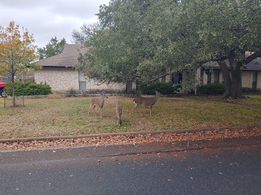 Nature Preserve «Stillhouse Hollow Nature Preserve», reviews and photos, 7810 Sterling Dr, Austin, TX 78759, USA