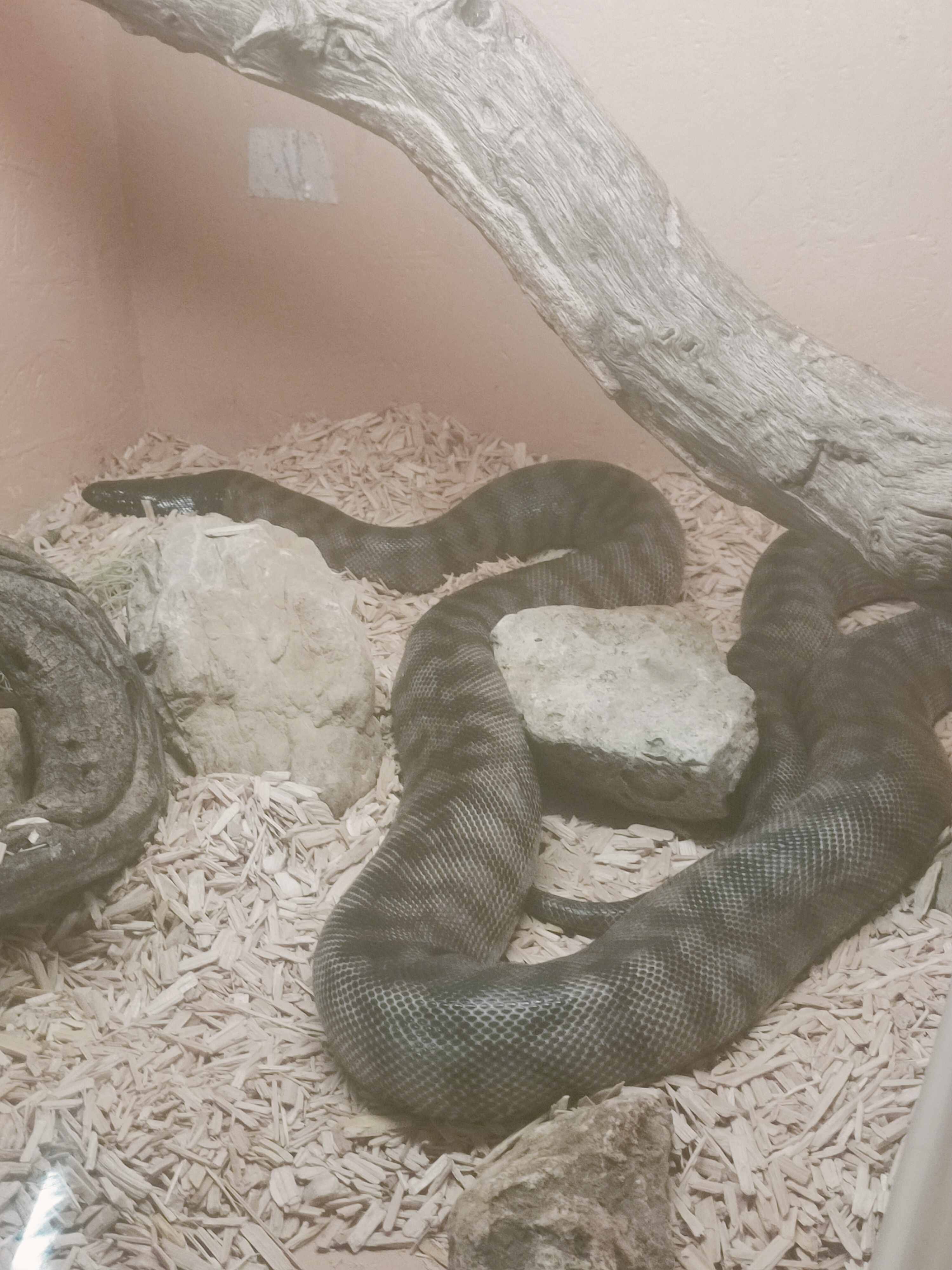 Photo n° 2 de l'avis de Karen.u fait le 03/01/2023 à 14:08