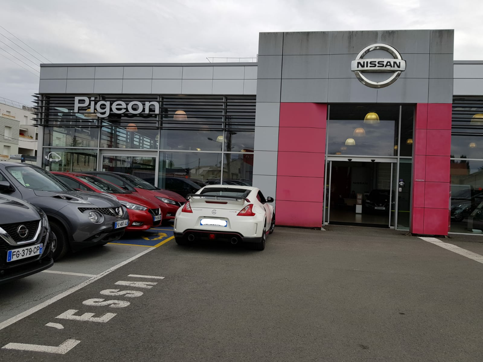 Photo n° 1 de l'avis de Falcon. fait le 09/08/2019 à 16:52