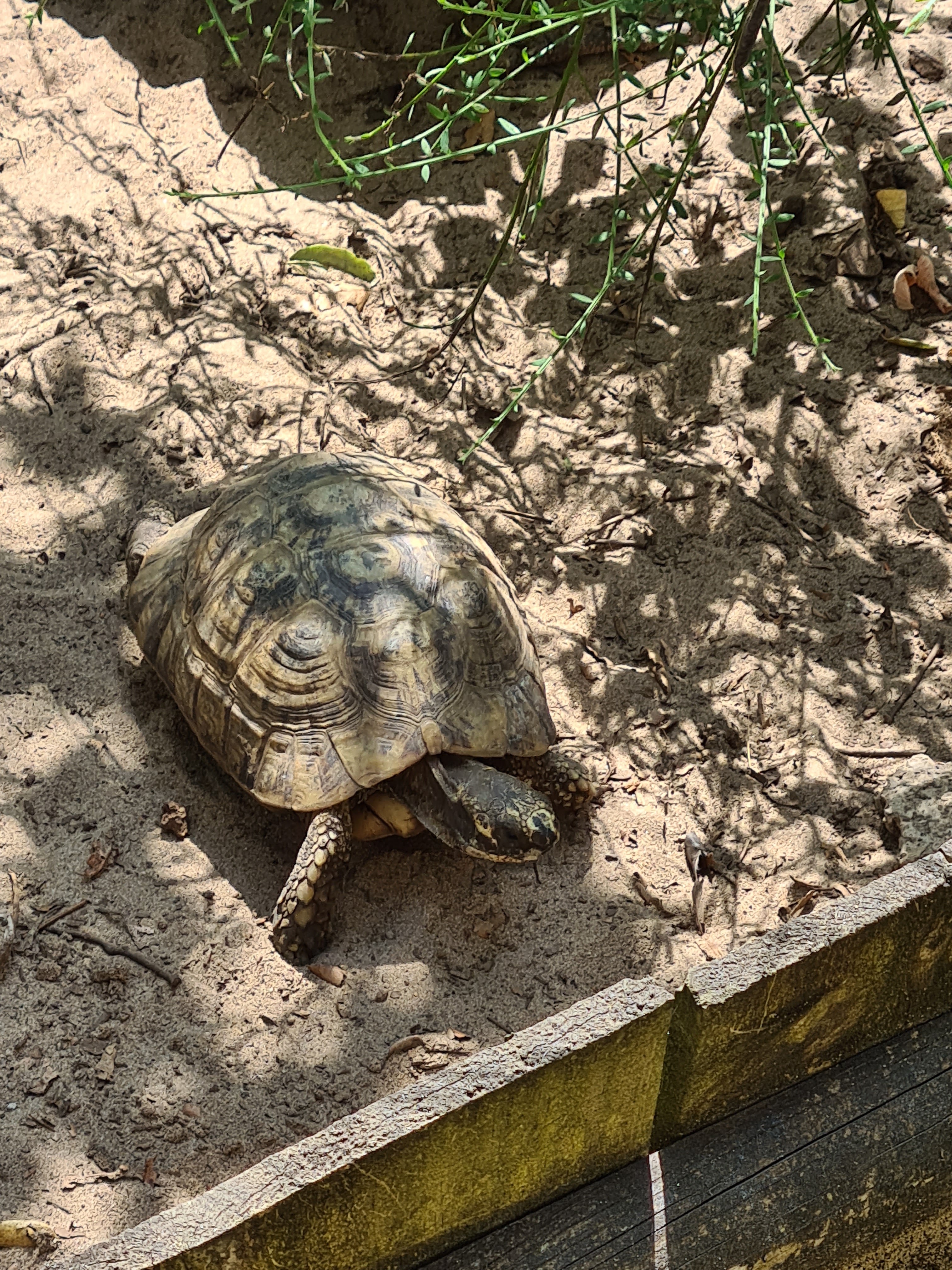 Photo n° 11 de l'avis de Géraldine.E fait le 18/07/2021 à 12:22