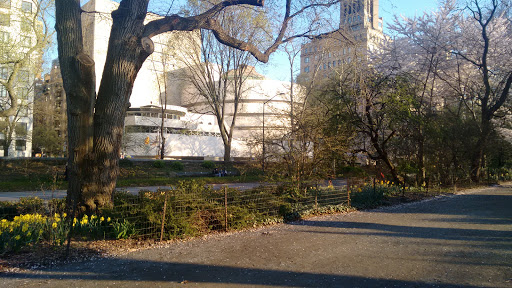 Modern Art Museum «Solomon R. Guggenheim Museum», reviews and photos, 1071 5th Ave, New York, NY 10128, USA