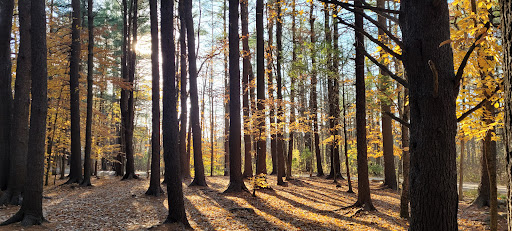 Disc Golf Course «Bellamy Park Disc Golf», reviews and photos, Bellamy Rd, Dover, NH 03820, USA