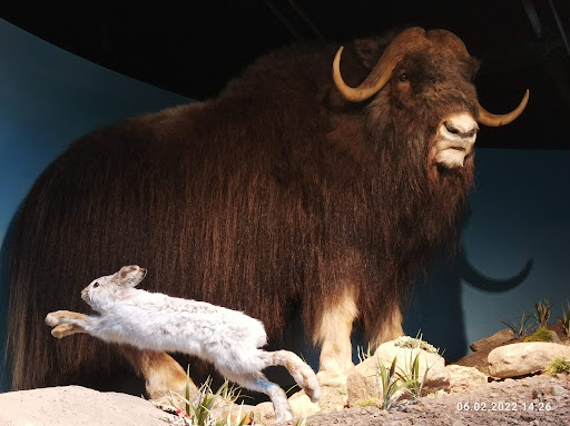 State Park «White River State Park», reviews and photos, 801 W Washington St, Indianapolis, IN 46204, USA