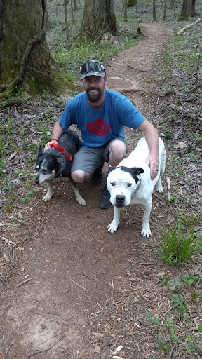 Bigfork Animal Hospital image