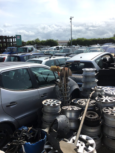 Photo 1 - SA Démolition du Tilleul