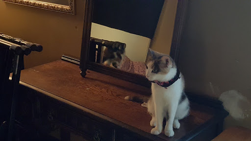 Live Music Venue «Columbia City Theater», reviews and photos, 4916 Rainier Ave S, Seattle, WA 98118, USA