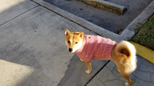 Pet Supply Store «Petco Animal Supplies», reviews and photos, 12014 SW 88th St, Miami, FL 33186, USA