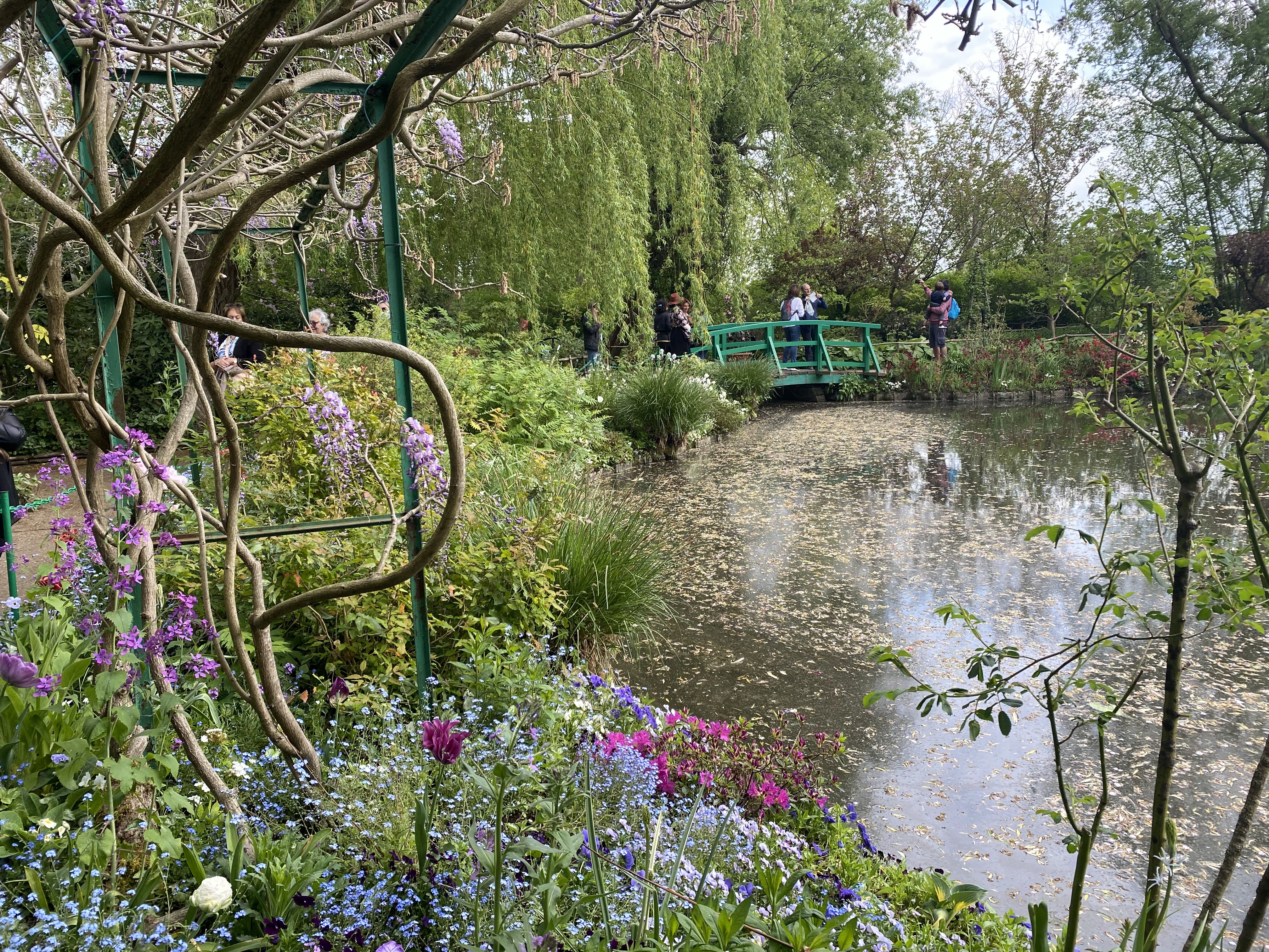 Photo n° 1 de l'avis de Elena. fait le 26/04/2022 à 07:45