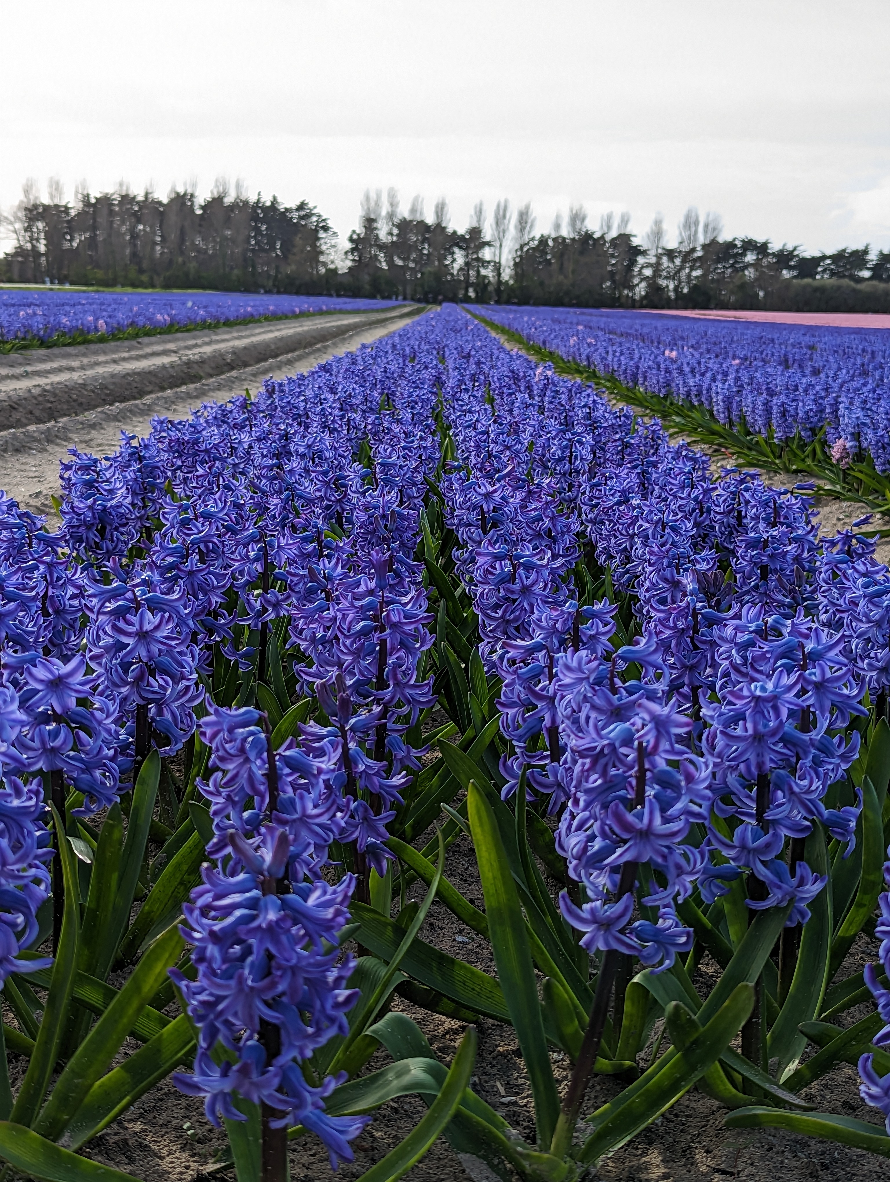 Photo n° 3 de l'avis de Jersey.h fait le 02/04/2023 à 21:00
