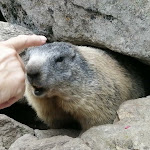 Photo n°8 de l'avis de Cristiano.e fait le 11/09/2023 à 15:47 sur le  Albergo Chiareggio à Chiareggio