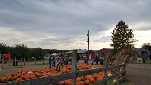 Orchard «Barton Orchards - Noxon Road Store Open Year Round - The Farm is CLOSED for the Season.», reviews and photos, 63 Apple Tree Ln, Poughquag, NY 12570, USA