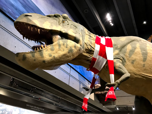 Movie Theater «Mugar Omni Theater», reviews and photos, 1 Museum Of Science Driveway, Boston, MA 02114, USA