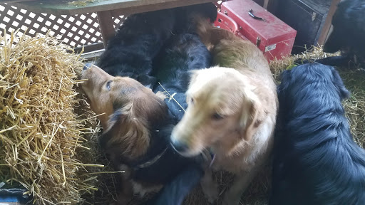 Pet Supply Store «Petco Animal Supplies», reviews and photos, 200 McMahan Blvd, Marion, OH 43302, USA