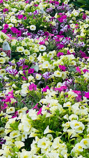 Home Improvement Store «The Home Depot», reviews and photos, 3051 E Main St, Mohegan Lake, NY 10547, USA