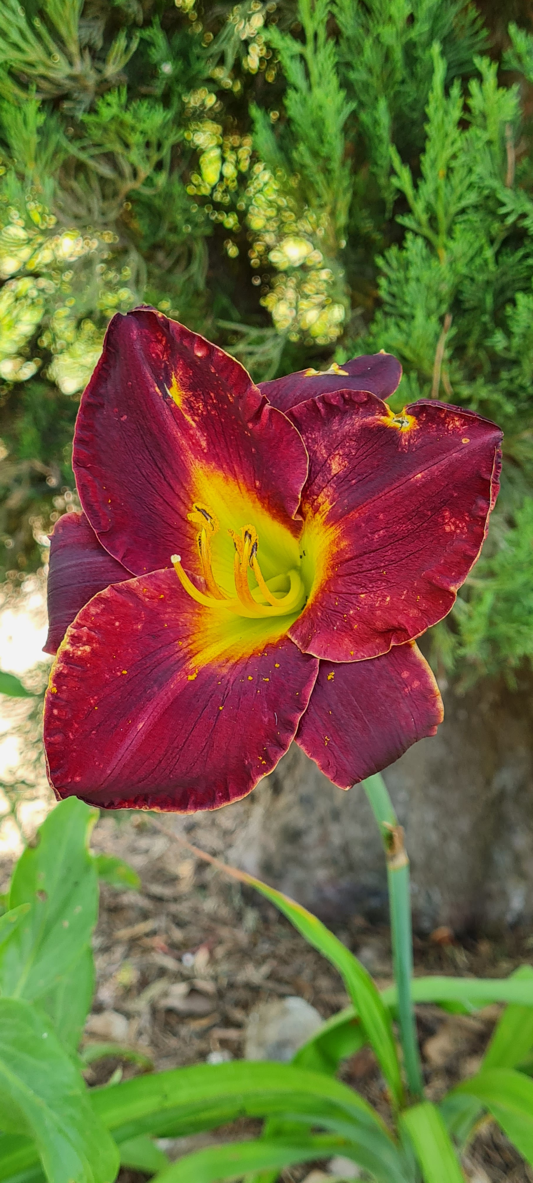 Photo n° 6 de l'avis de Florence.o fait le 22/06/2022 à 08:38