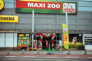 Maxi Zoo Opole CH Karolinka image