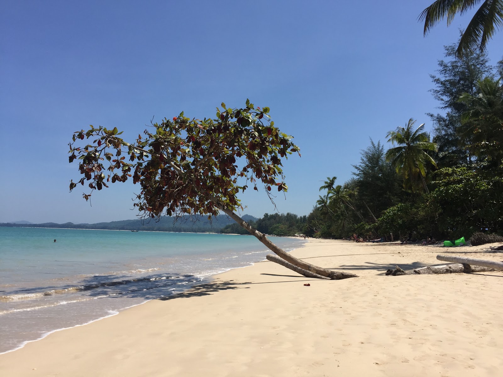 Foto von Kokosnussstrand mit geräumiger strand