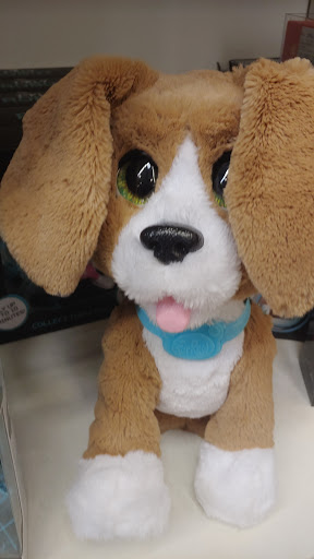 Department Store «Century 21 Department Store», reviews and photos, 1085 Old Country Rd, Westbury, NY 11590, USA