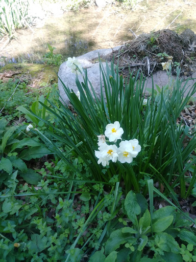 Gift Shop «Stonehedge Gardens», reviews and photos, 51 Dairy Rd, Tamaqua, PA 18252, USA