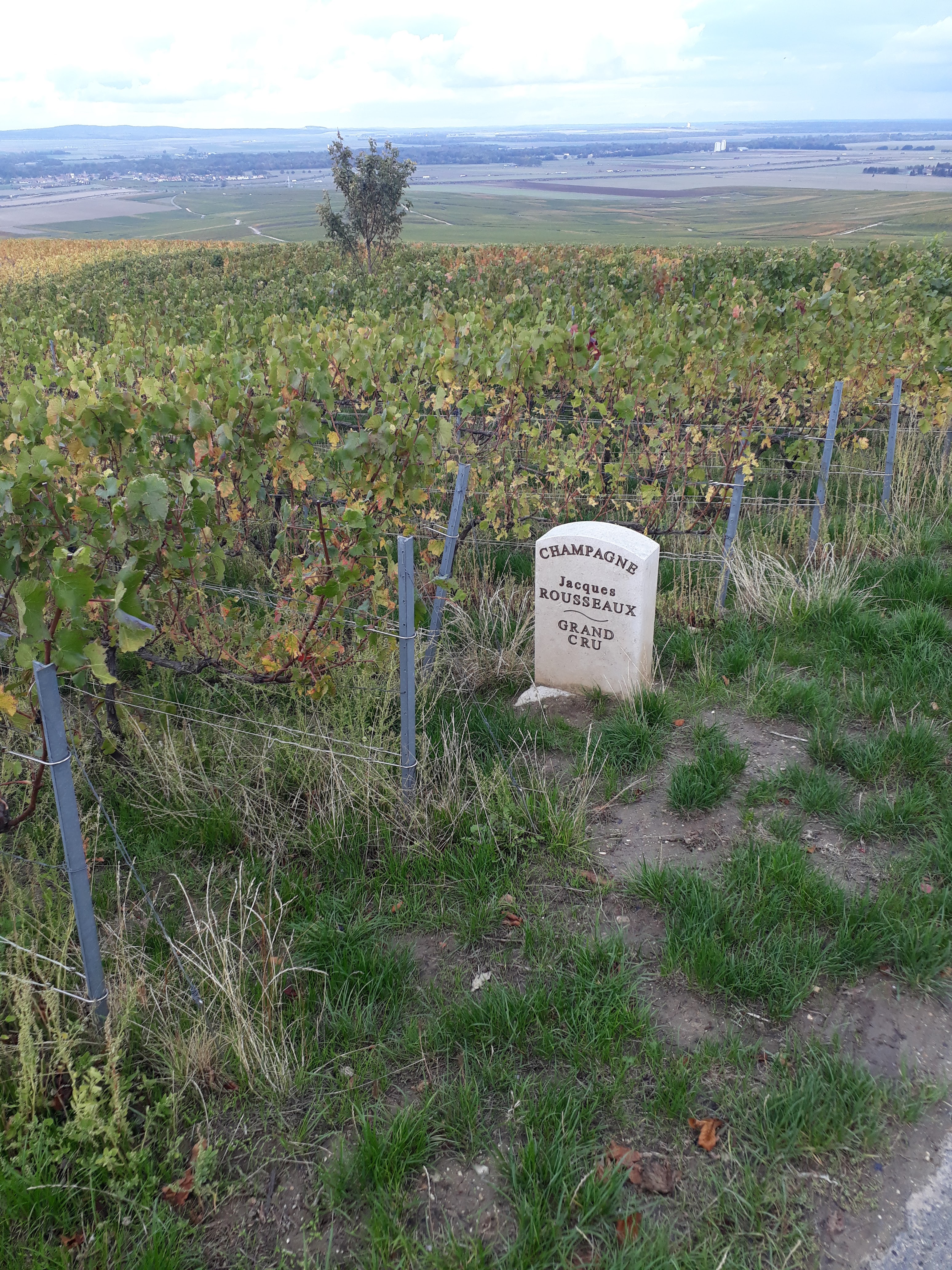 Photo n° 4 de l'avis de Didier.u fait le 14/10/2020 à 08:03