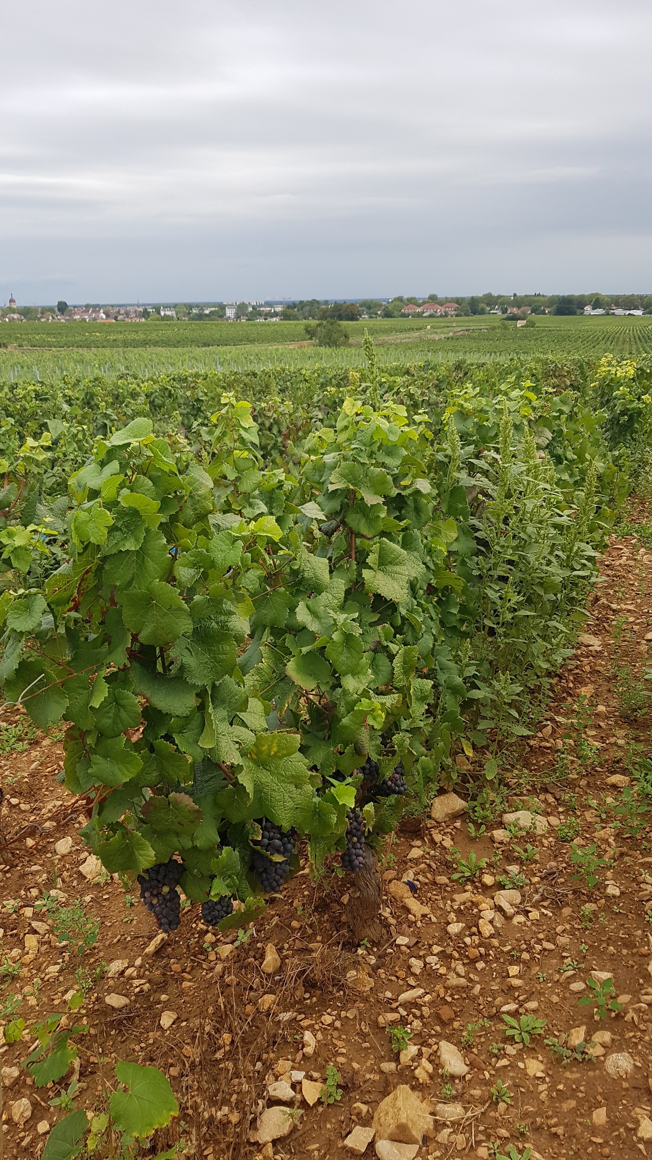 Photo n° 1 de l'avis de Thierry.c fait le 17/09/2023 à 05:34