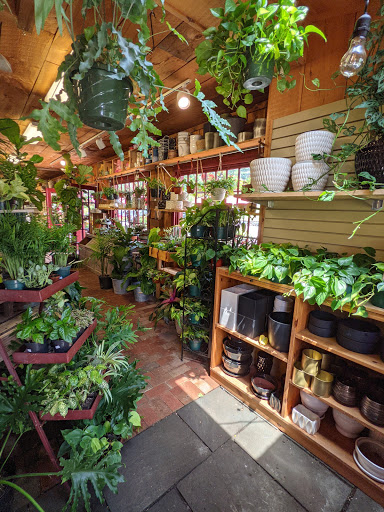 Garden Center «Riverside Nursery Garden Center & Florist», reviews and photos, 56 River Rd, Collinsville, CT 06019, USA