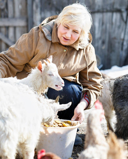 Pet Store «Woofmeow Family Pet Center», reviews and photos, 19 Manchester Rd Suite A, Derry, NH 03038, USA