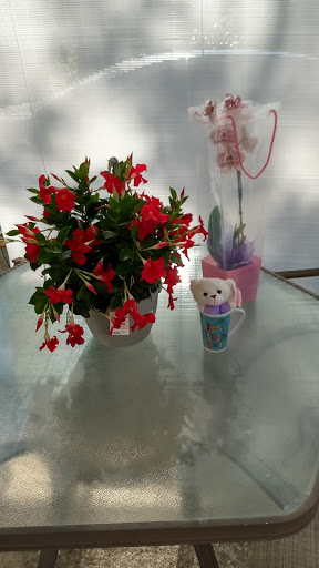 Department Store «Walmart Supercenter», reviews and photos, 4310 Montgomery Hwy, Dothan, AL 36303, USA