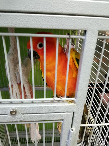 Pet Store «Ecology Pet», reviews and photos, 111 Mayo Rd, Edgewater, MD 21037, USA