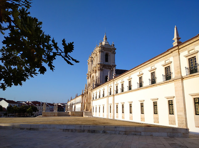 Mosteiro de Alcobaça - Arquiteto