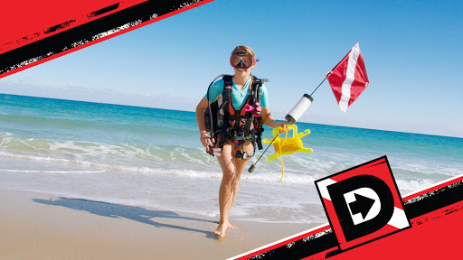 Dive Shop «Divers Direct», reviews and photos, 425 S Dixie Hwy, Coral Gables, FL 33146, USA