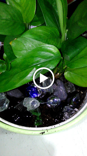 Grocery Store «El Centro Supermarket», reviews and photos, 8231 Park Ln, Dallas, TX 75231, USA