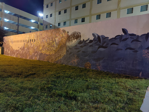 Hair Salon «Truu Salon Aveda», reviews and photos, 1930 Harrison St, Hollywood, FL 33020, USA