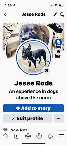 Pet Supply Store «Ace Pet Supply & K-9 Center Inc», reviews and photos, 206 Vanderpool St, Newark, NJ 07114, USA