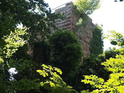 Le Grand-Arnsbourg (également nommé Grand-Arnsberg) à Baerenthal