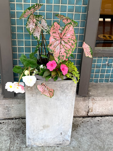 Coffee Shop «Good Harbor Coffee & Bakery», reviews and photos, 111 W Front St, Traverse City, MI 49684, USA