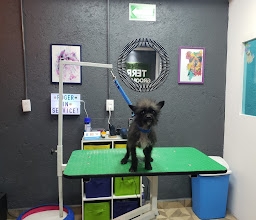 Terry & Teddy Grooming and Outfitters photo