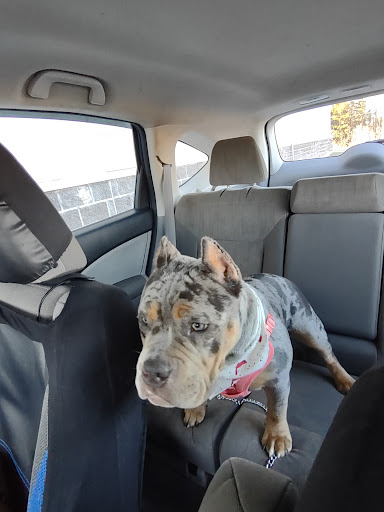 Pet Supply Store «Petco Animal Supplies», reviews and photos, 178 Township Blvd, Camillus, NY 13031, USA