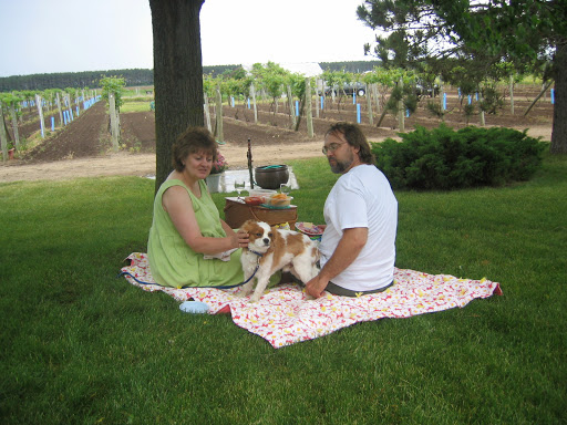 Winery «Alexis Bailly Vineyard», reviews and photos, 18200 Kirby Ave S, Hastings, MN 55033, USA