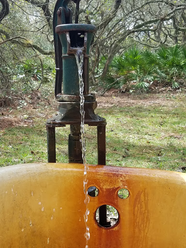 Nature Preserve «Serenova Tract», reviews and photos, 14900 Florida 52, Land O Lakes, FL 34638, USA