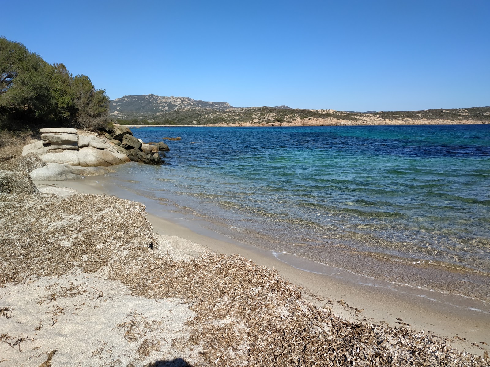 Foto di La Testa beach con una superficie del acqua cristallina