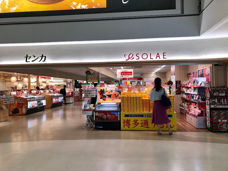 SOLAE 6番ゲート店