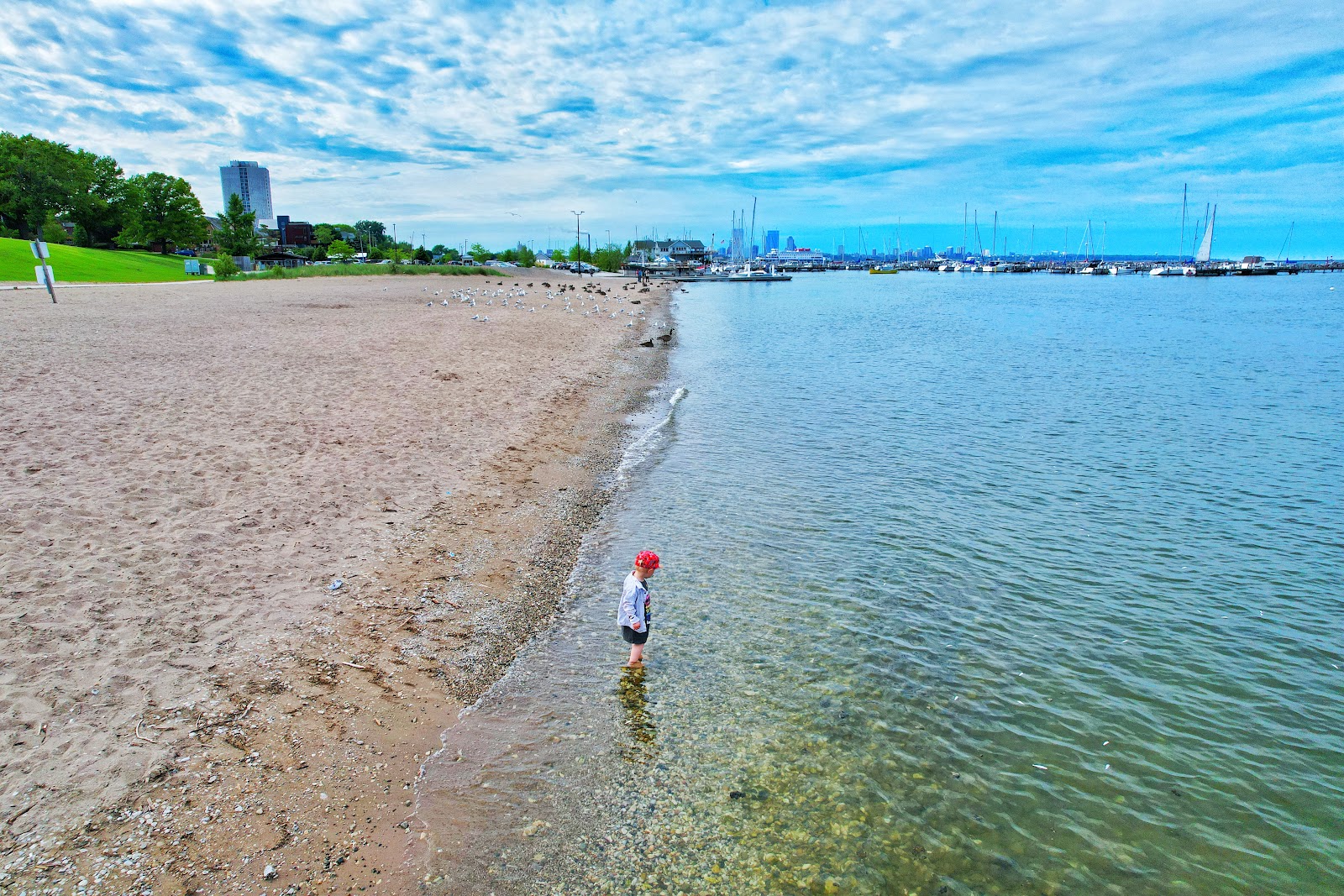 Photo of South Shore Park with straight shore