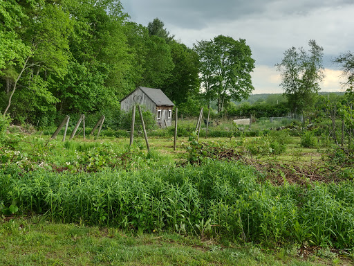 Winery «Hardwick Winery», reviews and photos, 3305 Greenwich Rd, Hardwick, MA 01082, USA