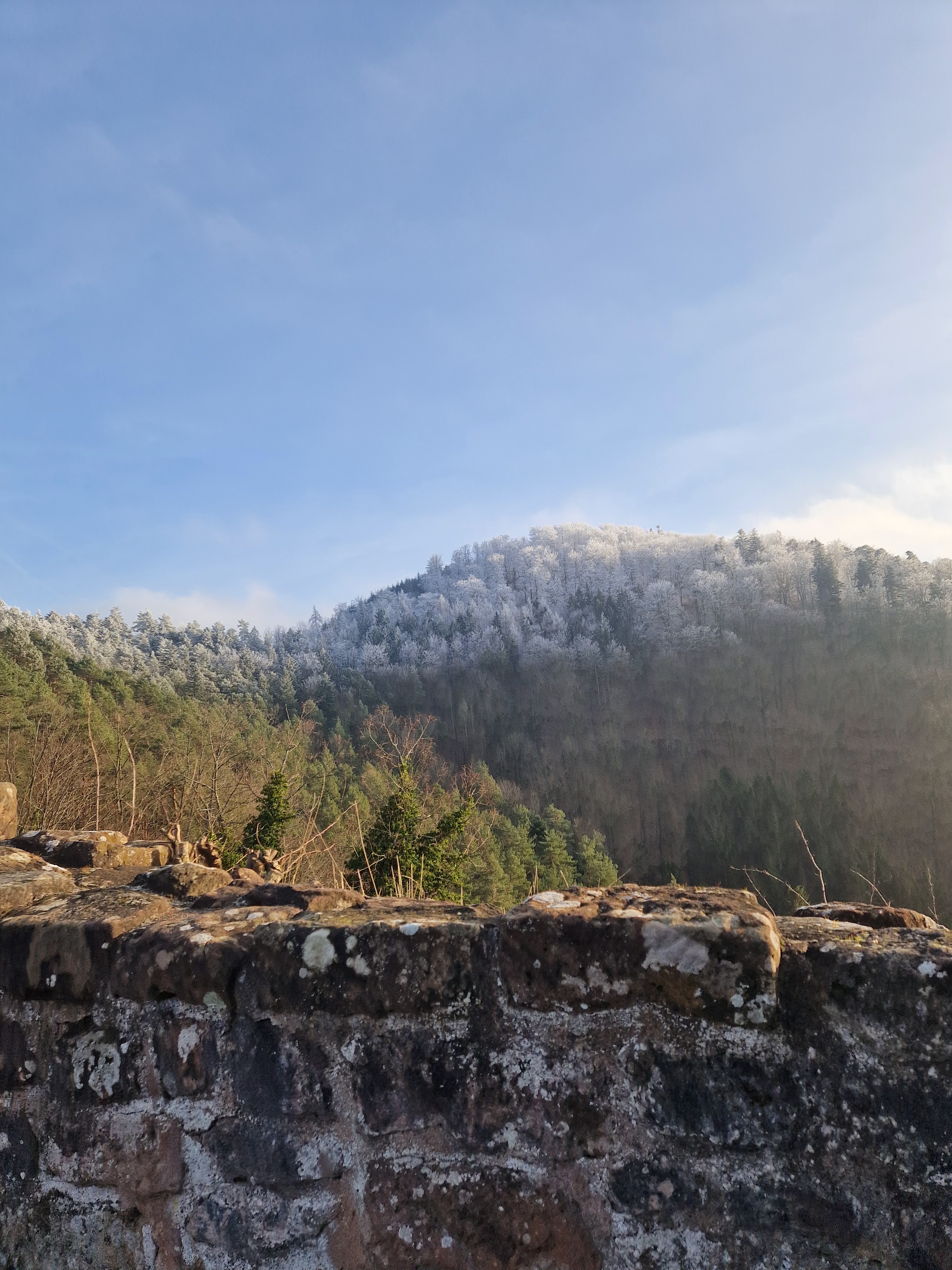 Photo n° 23 de l'avis de Beno. fait le 14/01/2024 à 20:33