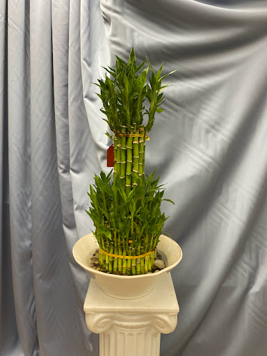 Florist «Morton Grove Florist», reviews and photos, 5741 Dempster St, Morton Grove, IL 60053, USA