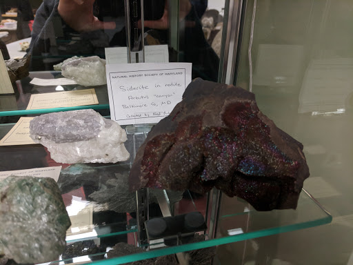 Natural History Museum «Natural History Society of Maryland», reviews and photos, 6908 Belair Rd, Baltimore, MD 21206, USA
